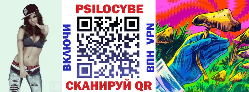 Купить  Новоалтайск  Псилоцибиновые грибы GOLDEN TEACHER 